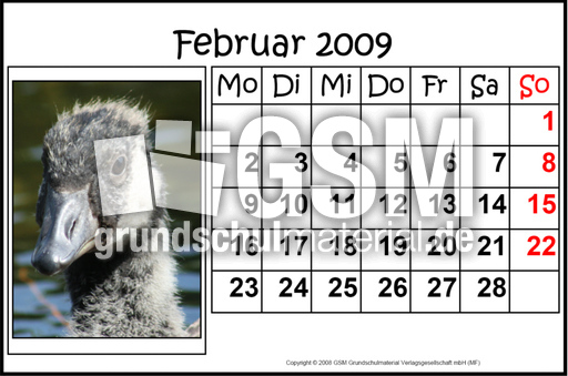 2-Februar-2009-quer.jpg